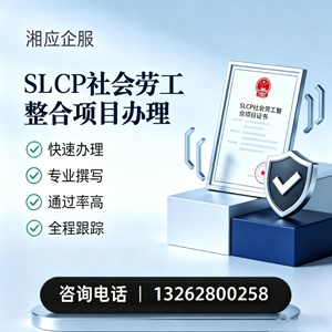 德州SLCP社会劳工整合项目申报服务