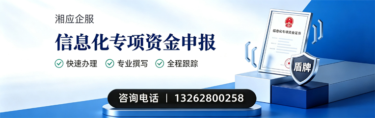 德州信息化专项资金申报服务
