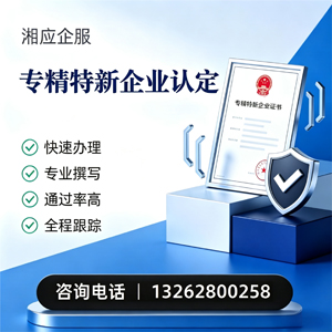 德州专精特新企业申报服务