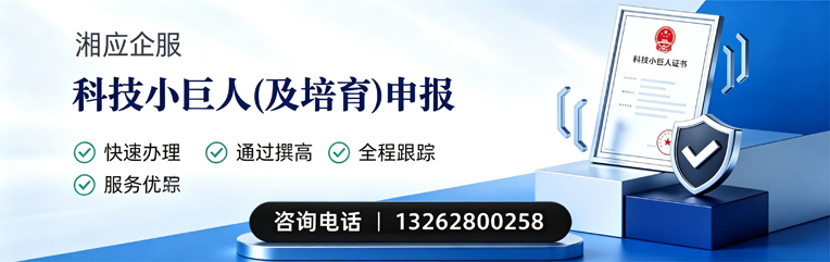德州科技小巨人及培育企业申报服务