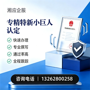 德州专精特新小巨人申报服务