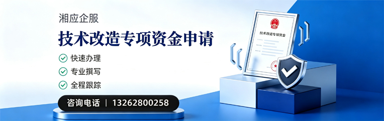德州技术改造专项资金申报服务