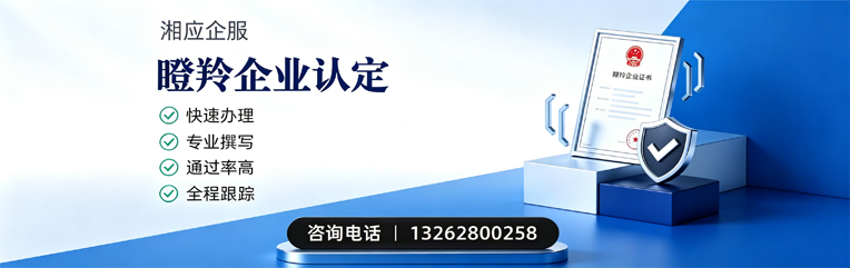 德州瞪羚企业认定申报服务