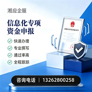 德州信息化专项资金申报服务