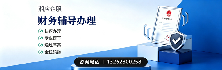 德州财务辅导申请服务