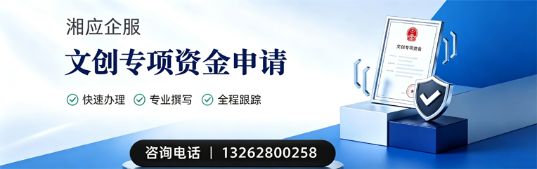 德州文创专项资金申报服务