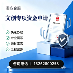 德州文创专项资金申报服务