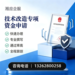 德州技术改造专项资金申报服务