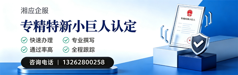 德州专精特新小巨人申报服务